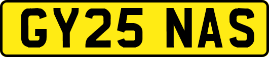 GY25NAS
