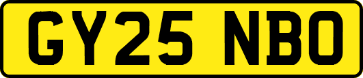 GY25NBO