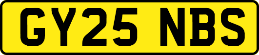 GY25NBS
