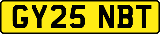 GY25NBT