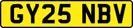 GY25NBV