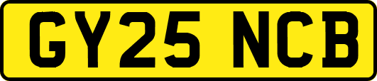 GY25NCB