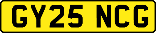 GY25NCG