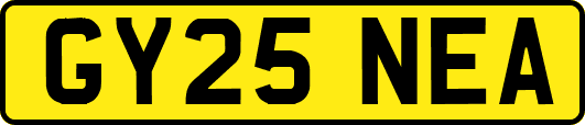 GY25NEA