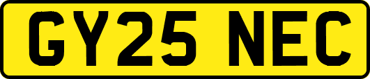 GY25NEC