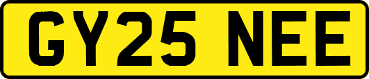 GY25NEE