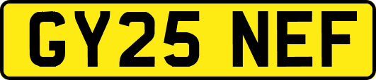 GY25NEF