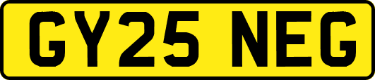 GY25NEG