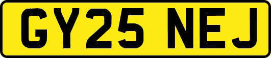 GY25NEJ