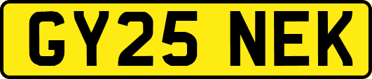 GY25NEK