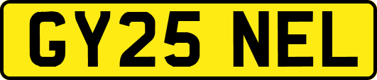 GY25NEL