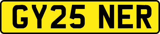 GY25NER