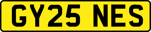 GY25NES