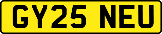 GY25NEU