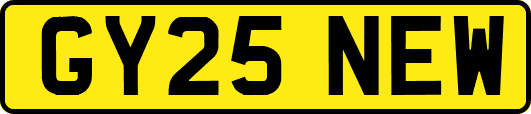 GY25NEW