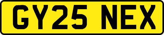 GY25NEX