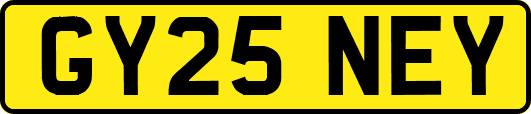 GY25NEY