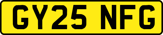 GY25NFG