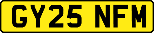 GY25NFM