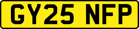 GY25NFP