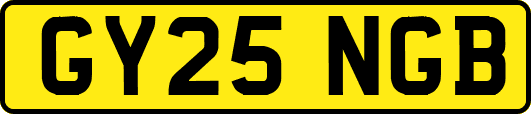 GY25NGB