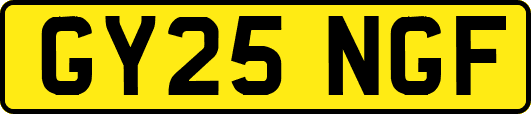 GY25NGF