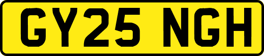 GY25NGH
