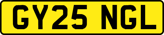 GY25NGL