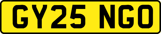 GY25NGO