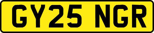 GY25NGR