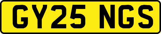 GY25NGS