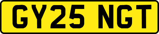 GY25NGT
