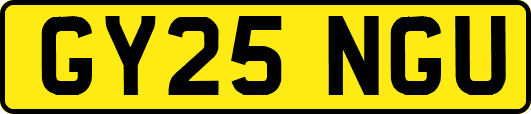 GY25NGU