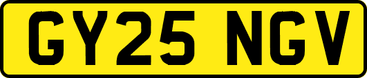 GY25NGV