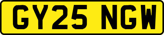 GY25NGW