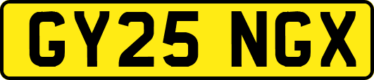 GY25NGX