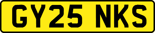 GY25NKS