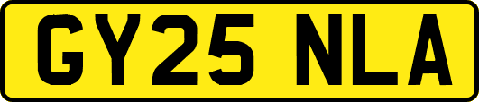 GY25NLA