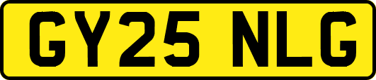 GY25NLG