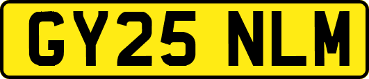 GY25NLM