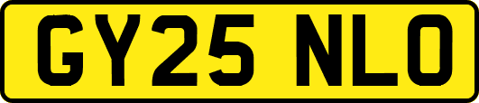GY25NLO