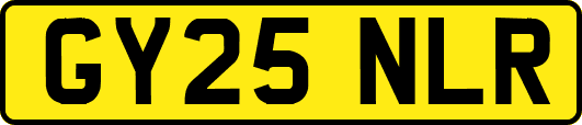 GY25NLR