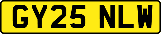 GY25NLW