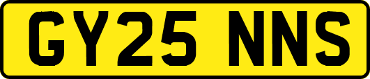 GY25NNS