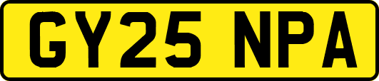 GY25NPA