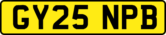 GY25NPB
