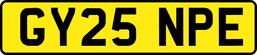 GY25NPE