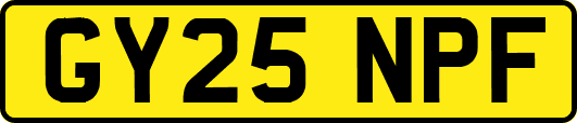 GY25NPF
