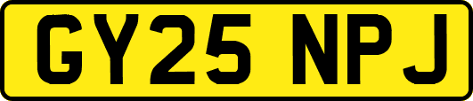 GY25NPJ