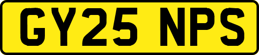 GY25NPS